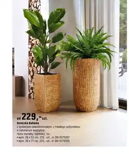 OBI Doniczka Bahama oferta