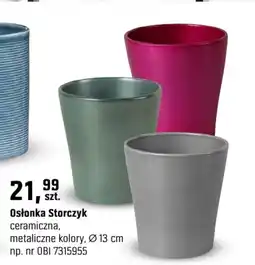 OBI Osłonka Storczyk oferta
