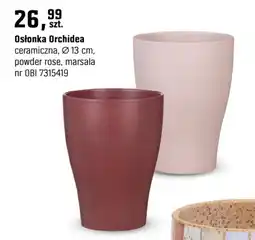 OBI Osłonka Orchidea oferta