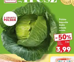 Kaufland Polska kapusta biała młoda oferta