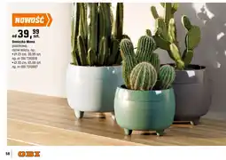 OBI Doniczka Mona oferta