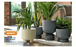 OBI Doniczka Molta Ethick oferta