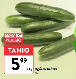 Intermarche Ogórek krótki Intermarche oferta