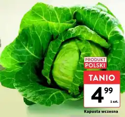 Intermarche Kapusta wczesna Intermarche oferta