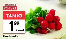 Intermarche Rzodkiewka Intermarche oferta