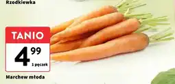 Intermarche Marchew młoda Intermarche oferta