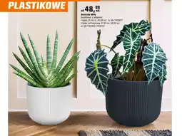 OBI Doniczka Milly oferta