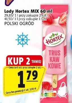 Prim Market Lody hortex mix 60 ml POLSKI OGRÓD oferta