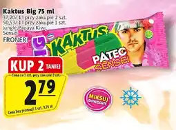 Prim Market Lody Kaktus Big 75 ml Froneri oferta
