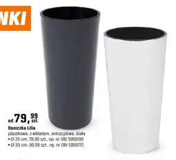 OBI Doniczka Lilia oferta