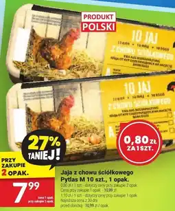 Twój Market Jaja z chowu ściółkowego Pytlasi, 10 szt oferta