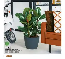 OBI Osłonka Magnolia Jumper recycled oferta