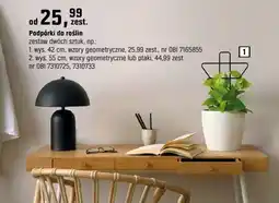 OBI Podpórki do roślin oferta
