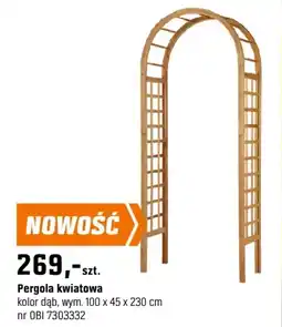 OBI Pergola kwiatowa oferta