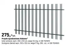 OBI Przęsło ogrodzeniowe Alabama oferta