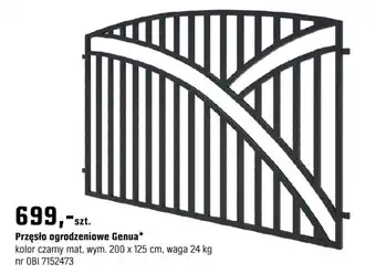 OBI Przęsło ogrodzeniowe Genua oferta