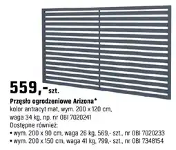 OBI Przęsło ogrodzeniowe Arizona oferta