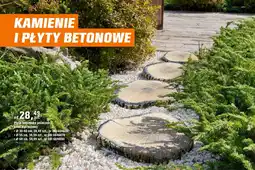 OBI Płyta betonowa pniaczek kolor dąb beżowy oferta