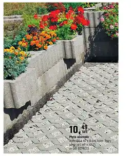 OBI Płyta ażurowa oferta