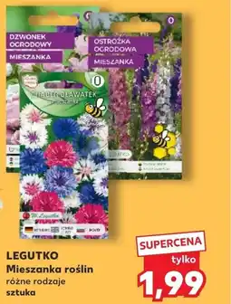 Kaufland LEGUTKO Mieszanka roślin oferta