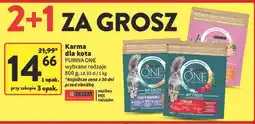 Intermarche Karma dla kota junior Purina One oferta