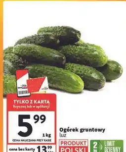Intermarche Ogórek gruntowy polska oferta