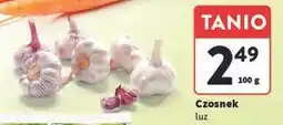Intermarche Czosnek oferta