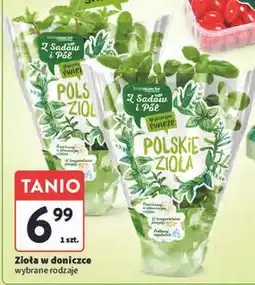 Intermarche Mięta Z Sadów I Pól oferta