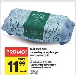 Intermarche Jaja z wolnego wybiegu m Kotlina Natury oferta