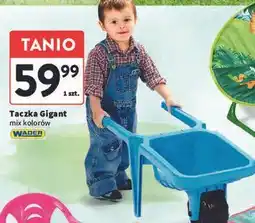 Intermarche Taczka gigant Wader oferta