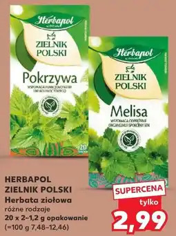 Kaufland HERBAPOL ZIELNIK POLSKI Herbata ziołowa oferta