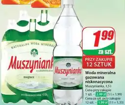 Dino MUSZYNIANKA oferta