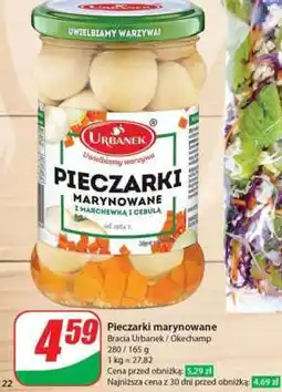 Dino Pieczarki marynowane oferta