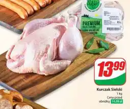Dino Kurczak sielski oferta