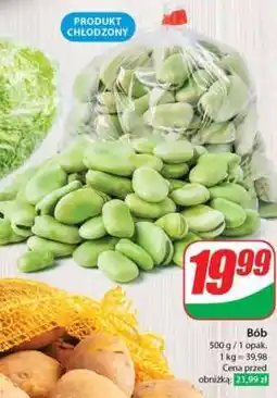 Dino Bób oferta