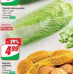 Dino Kapusta pekińska oferta