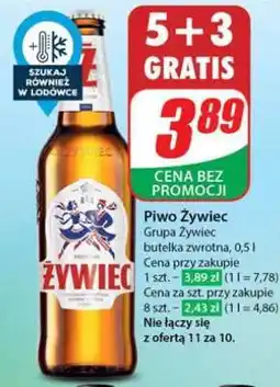 Dino Piwo Żywiec oferta