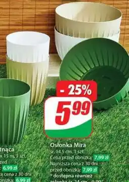 Dino Osłonka Mira oferta
