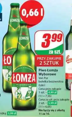 Dino PIWO ŁOMŻA WYBOROWE oferta