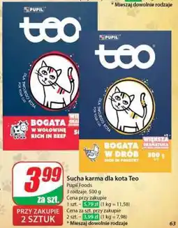 Dino Sucha karma dla kota Teo oferta