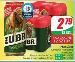 Dino Piwo ŻUBR oferta