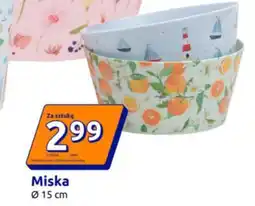 Action Miska oferta