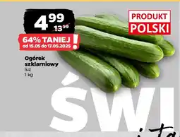 Netto Ogórek szklarniowy oferta
