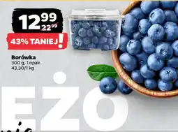 Netto Borówka oferta