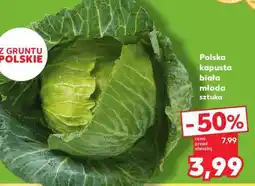 Kaufland Polska kapusta biała młoda sztuka oferta