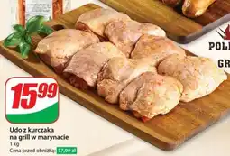 Dino Udo z kurczaka na grill w marynacie oferta