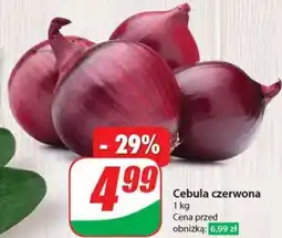 Dino Cebula czerwona oferta