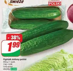 Dino Ogórek zielony polski oferta