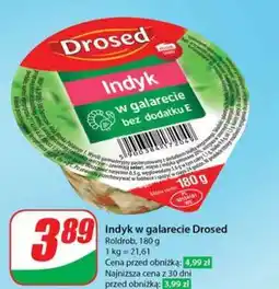 Dino Indyk w galarecie Drosed oferta