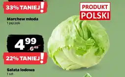 Netto Sałata lodowa oferta